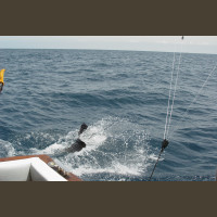 Pêche au Sénégal Saly