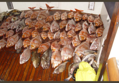 Pêche au Sénégal Saly