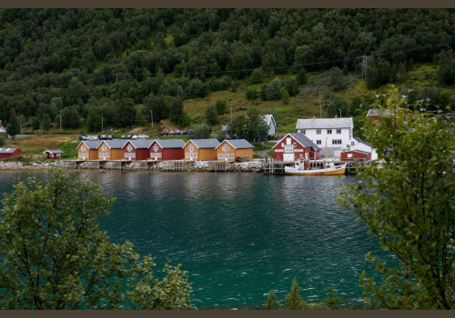 Pêche en Mer en Norvège