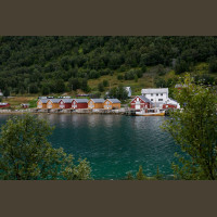 Pêche en Mer en Norvège