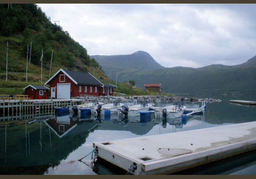 Pêche en Mer en Norvège