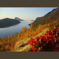 Pêche en Mer en Norvège