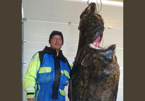 Pêche en Mer en Norvège