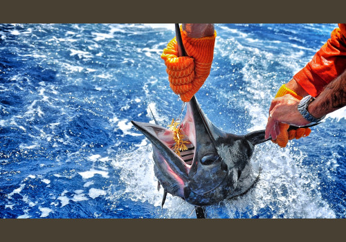 Pêche au Sénégal Saly