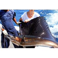 Pêche au Sénégal Saly