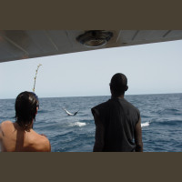 Pêche au Sénégal Saly