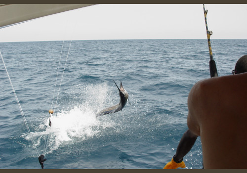 Pêche au Sénégal Saly