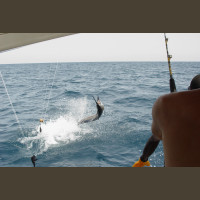 Pêche au Sénégal Saly