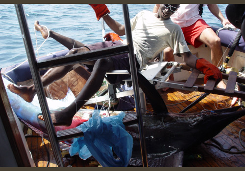 Pêche au Sénégal Saly