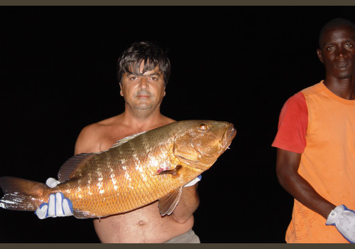 Pêche au Sénégal Saly