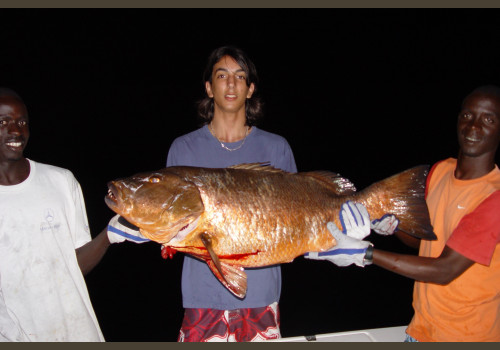 Pêche au Sénégal Saly