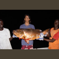 Pêche au Sénégal Saly