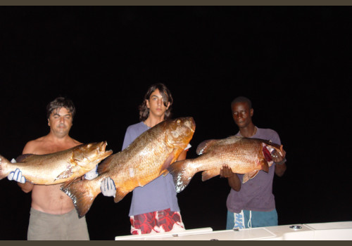 Pêche au Sénégal Saly