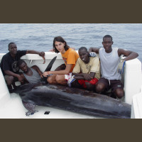 Pêche au Sénégal Saly