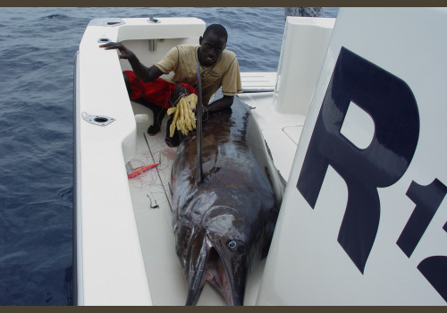 Pêche au Sénégal Saly