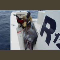 Pêche au Sénégal Saly