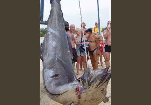 Pêche au Sénégal Saly