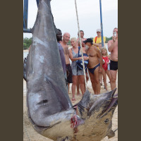 Pêche au Sénégal Saly