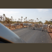 Pêche au Sénégal Saly