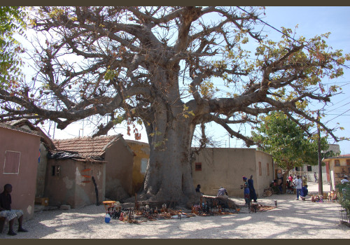 Pêche au Sénégal Saly