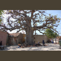 Pêche au Sénégal Saly