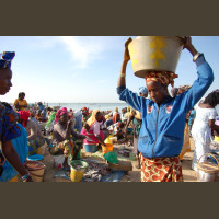 Pêche au Sénégal Saly