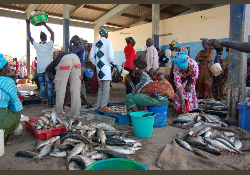 Pêche au Sénégal Saly