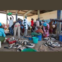 Pêche au Sénégal Saly