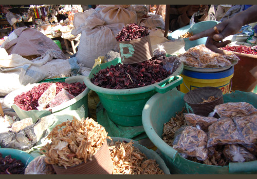 Pêche au Sénégal Saly