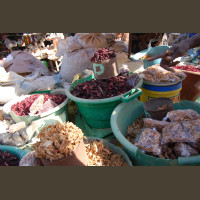 Pêche au Sénégal Saly