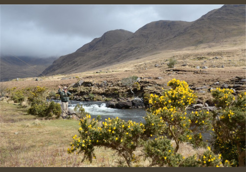 Pêche du Saumon en Irlande