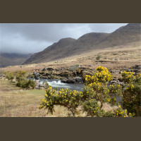 Pêche du Saumon en Irlande