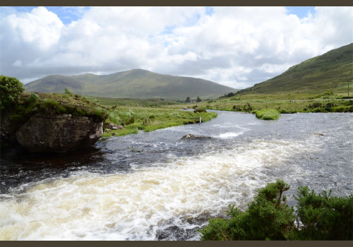 Pêche du Saumon en Irlande