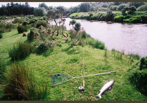 Pêche du Saumon en Irlande