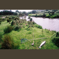 Pêche du Saumon en Irlande