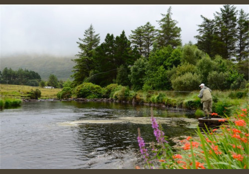 Pêche du Saumon en Irlande