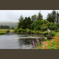 Pêche du Saumon en Irlande