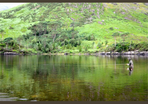 Pêche du Saumon en Irlande