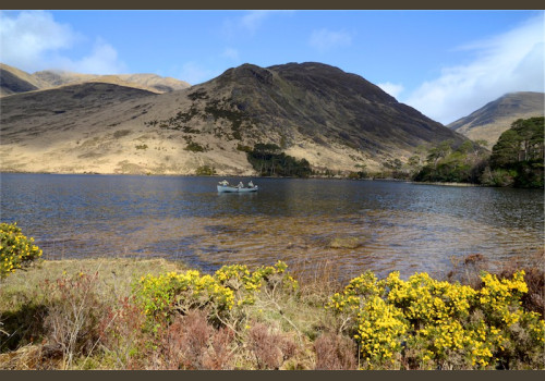 Pêche du Saumon en Irlande