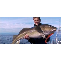 Pêche en Mer en Norvège