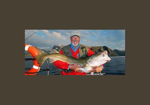 Pêche en Mer en Norvège