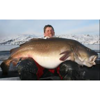 Pêche en Mer en Norvège