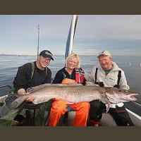 Pêche en Mer en Norvège