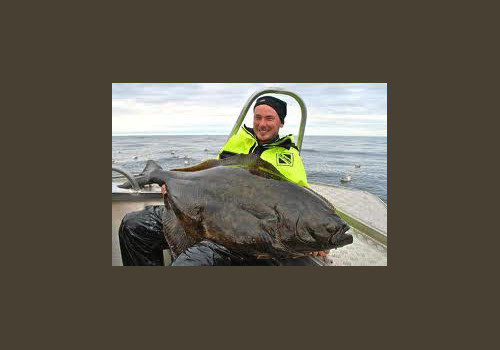 Pêche en Mer en Norvège