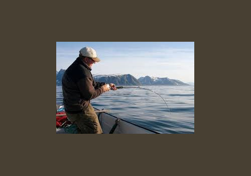 Pêche en Mer en Norvège