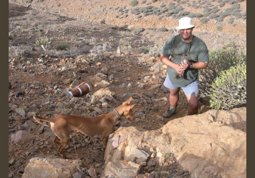 Chasse aux Lapins Espagne Valence