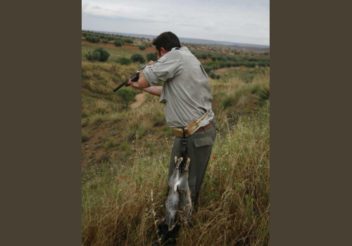 Chasse aux Lapins Espagne Valence