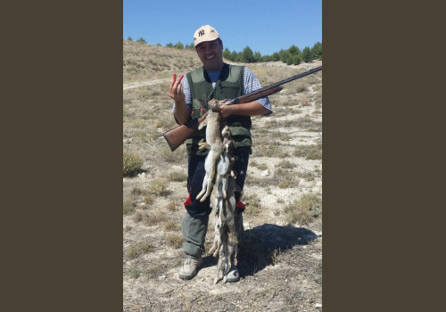 Chasse aux Lapins Espagne Valence