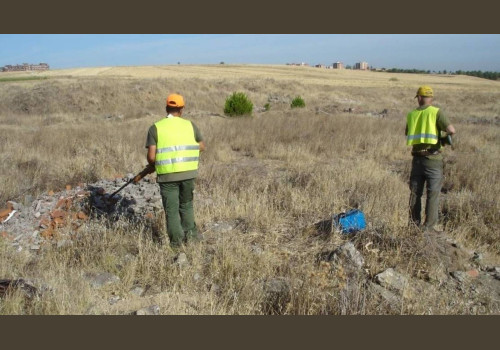 Chasse aux Lapins Espagne Valence