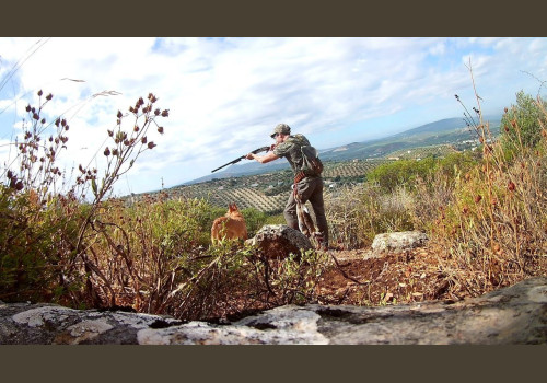 Chasse aux Lapins Espagne Valence